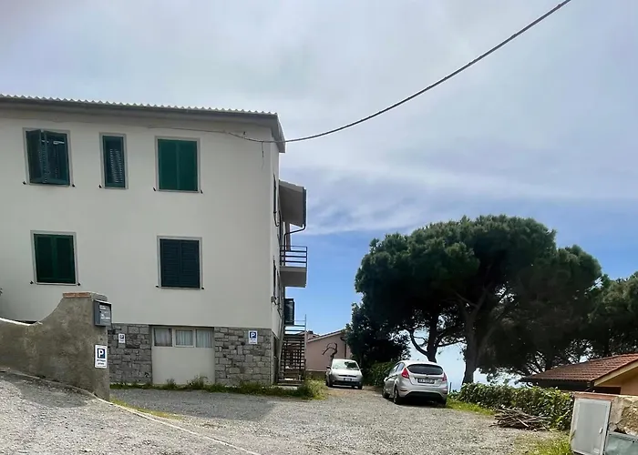 Casa David